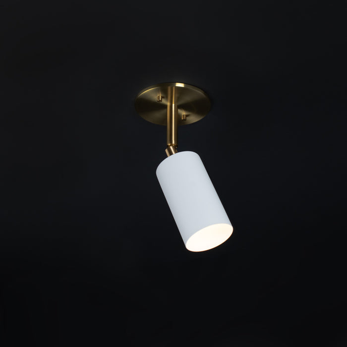 Avery Swivel Sconce/Pendant