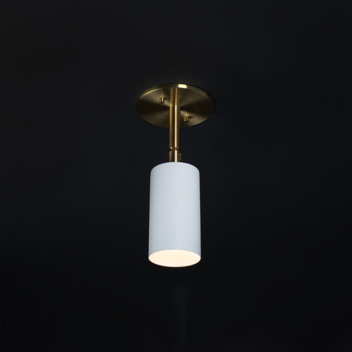 Avery Swivel Sconce/Pendant